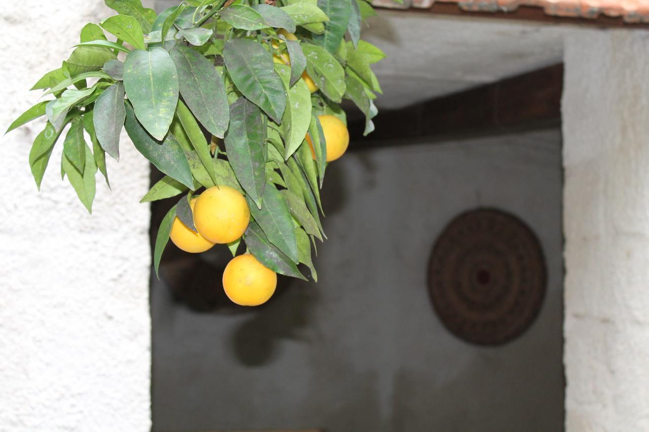B&B Danonna Ittiri Dış mekan fotoğraf
